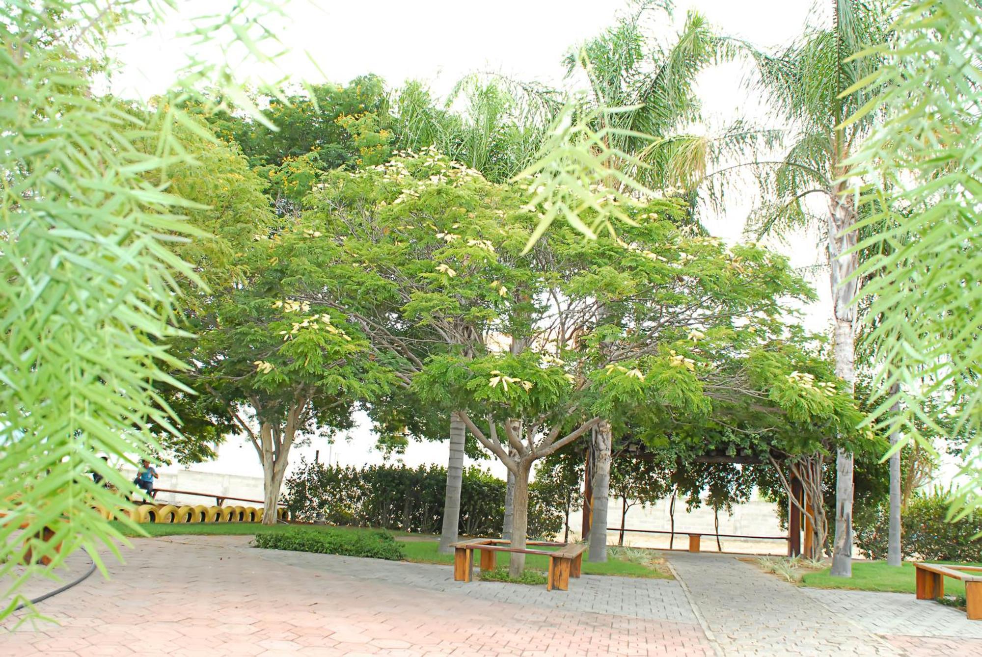 Hotel Flor Da Chapada Itaberaba Bagian luar foto